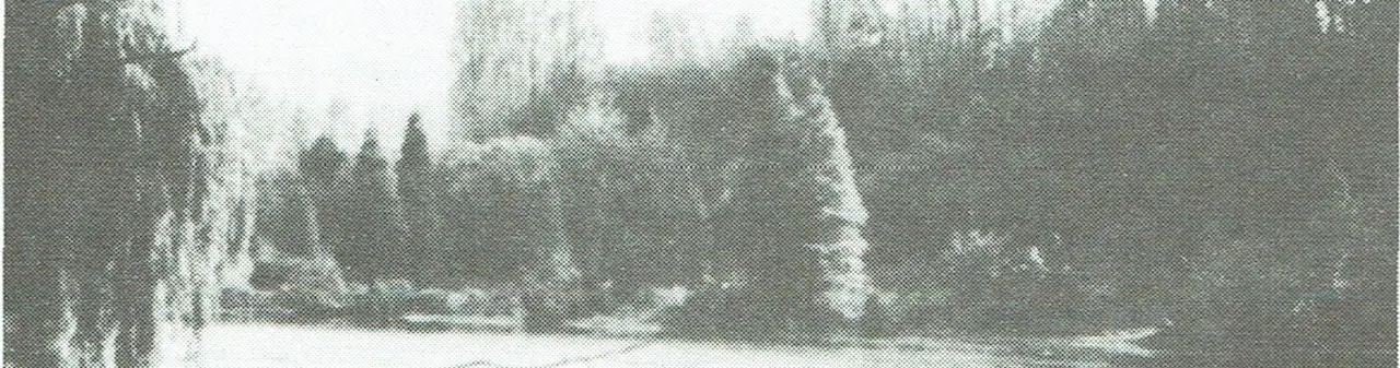 Die Teiche von Alpiflora in Diegem-Lo.