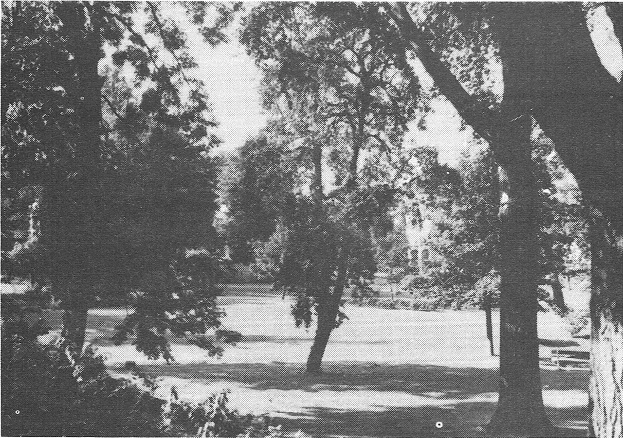 Der Gemeindepark im Jahr 1956.