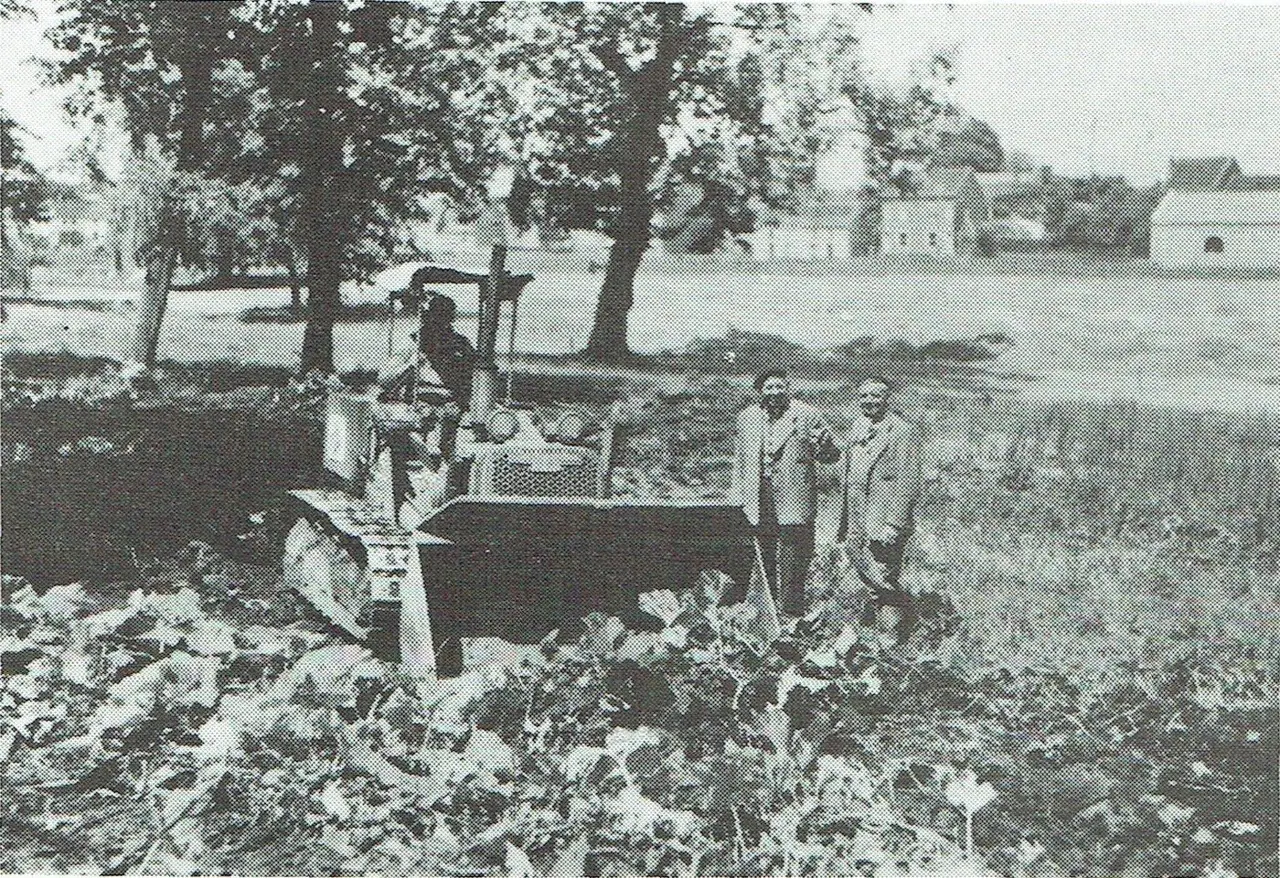 Anlage des Parks 1956; im Hintergrund die Cleyne Molen.
