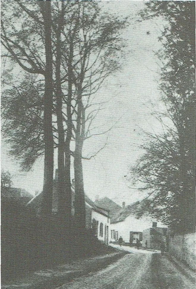 Een mooi hoekje in 1904, wellicht de Kuregemstraat.
