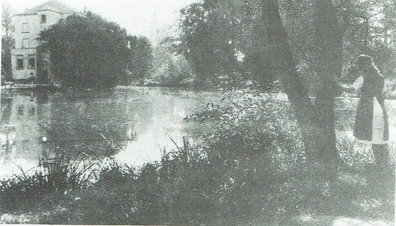 Jongedame, dromend bij de spiegelvijver van kasteel De Reine (1923).