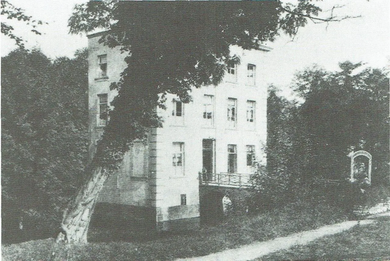 Het oude Frankische hof van Cuddegem, dat uitgroeide tot kasteel De Reine, werd in 1935 gesloopt.