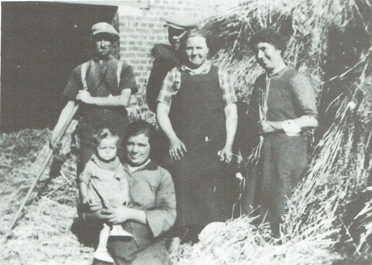 Ernte bei der Familie Hermans auf dem Lo (1938).
