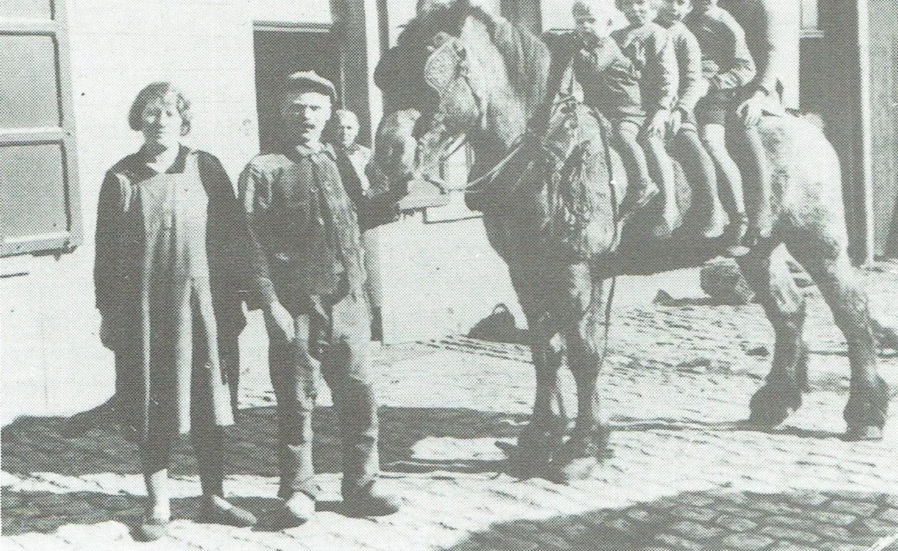 Der Hof von August De Créé-Baes, Zaventemsesteenweg 122, 1969 für den Ring abgerissen (1931).