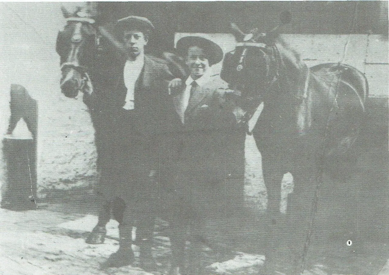 Pferdemusterung in Diegem nach 1945.