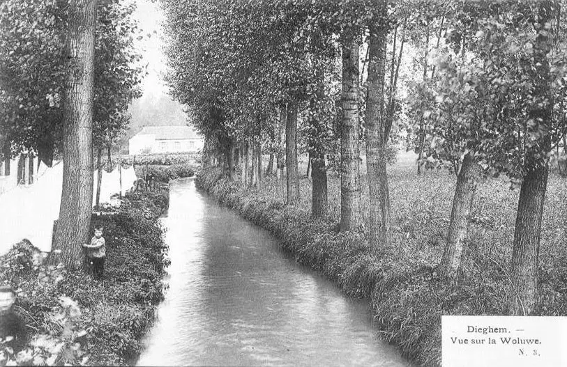 De Woluwe – foto 3