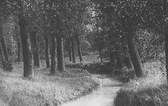 De Woluwe – foto 4