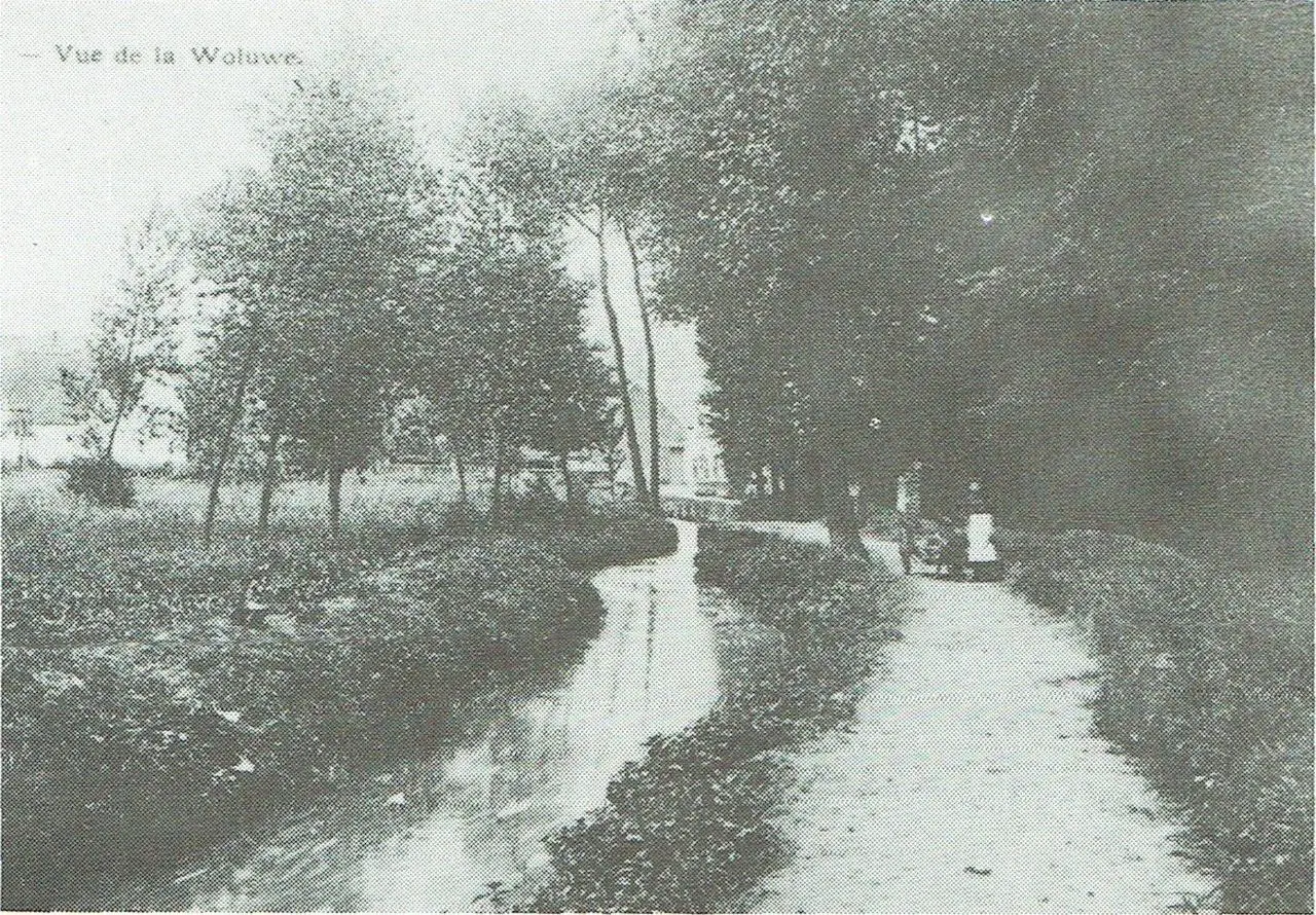 Vrouwtje met hondenkar op de weg langs de Woluwe; achteraan de huisjes van weduwe Michel Willox en Jan De Raedemaeker.