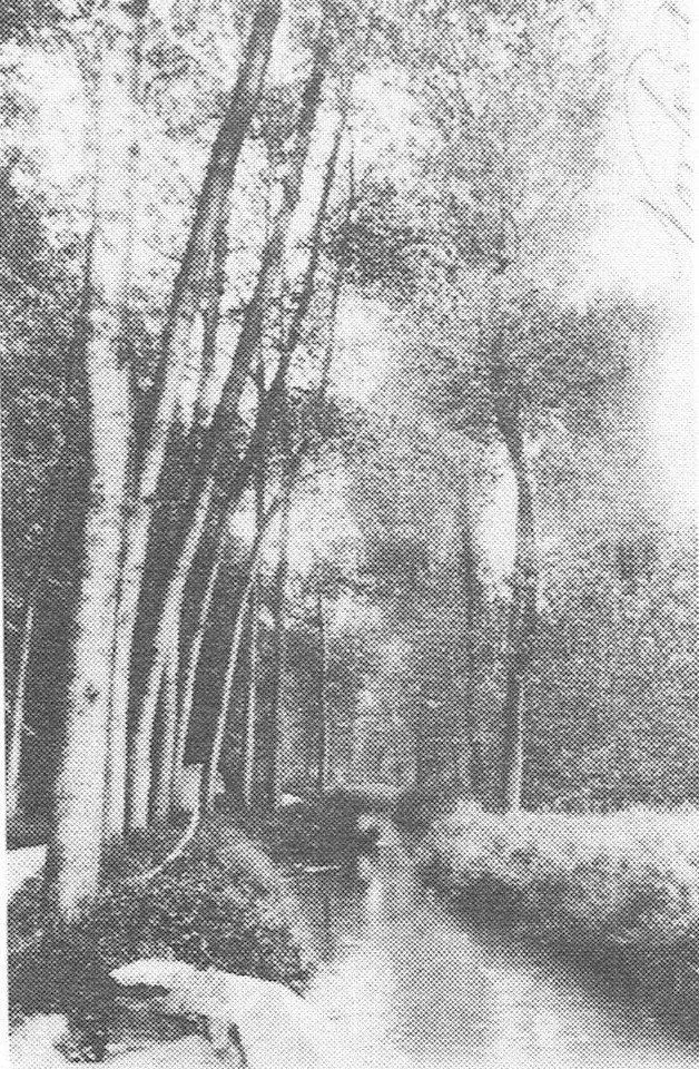 De loop van de Woluwe (1904).