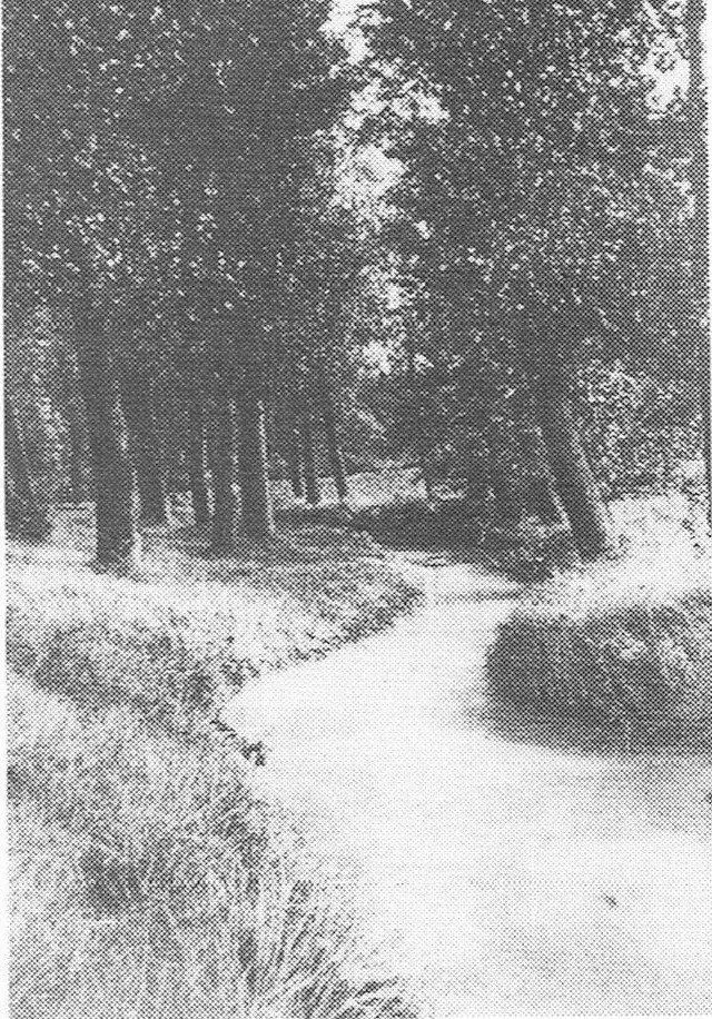 De Woluwe bij de Duivenmolen (1937).