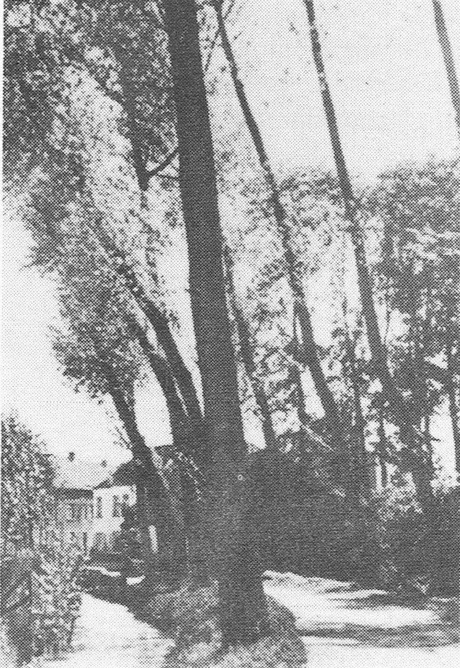 Hoekje aan de «Wissen», op de oever van de Woluwe.