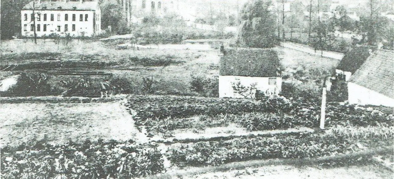 Vanaf 1930 werden de bomen gerooid voor de aanleg van de Woluwecollector.