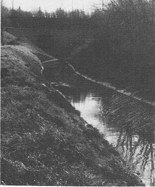 De Woluwe verlaat het rondplein (1950).