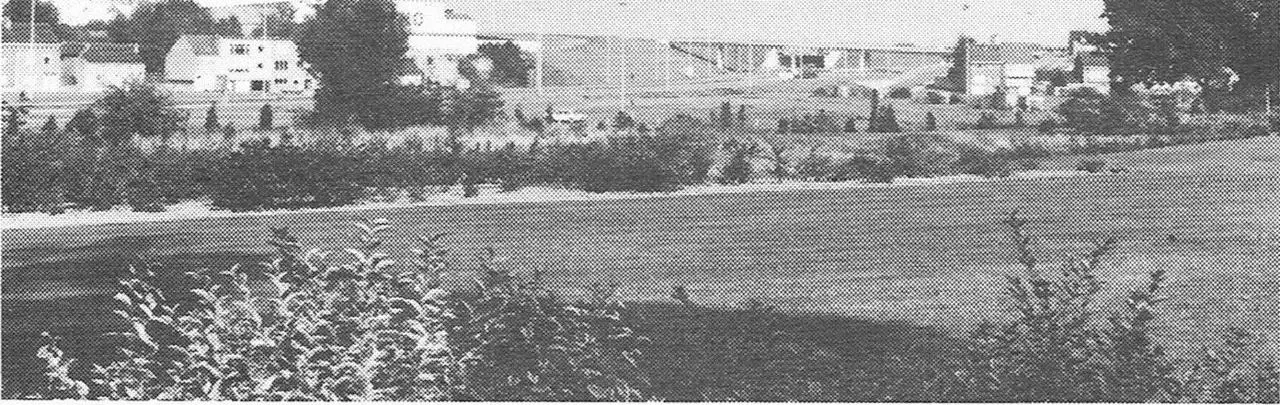 De Woluwelaan, gezien van aan het gedenkteken (1980).
